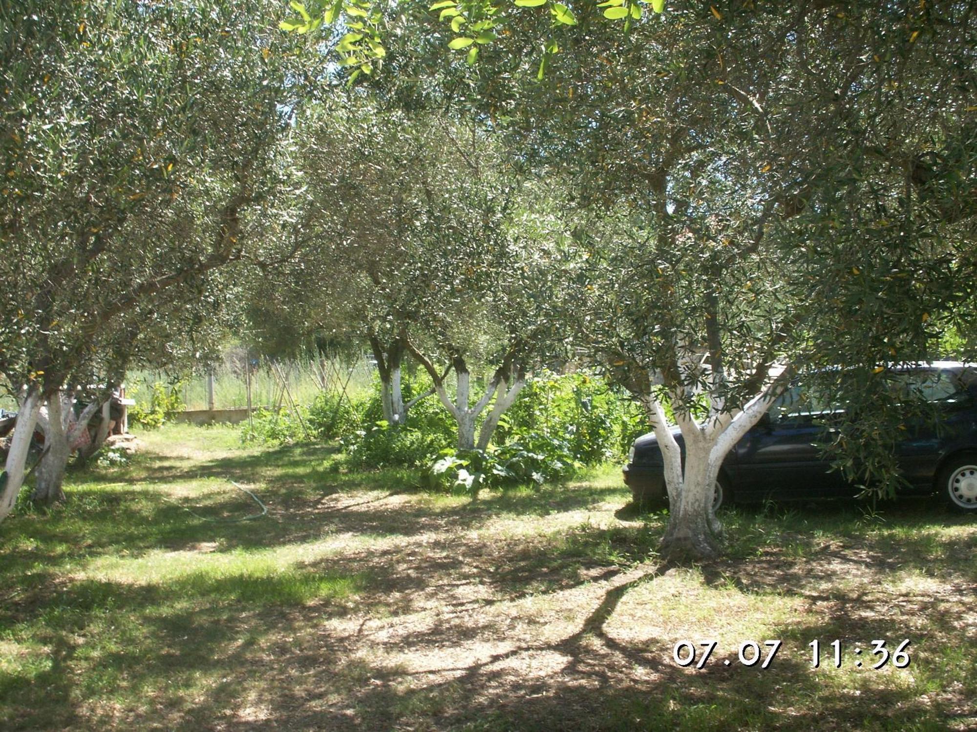 Appartamento House Souzanna Toroni Esterno foto