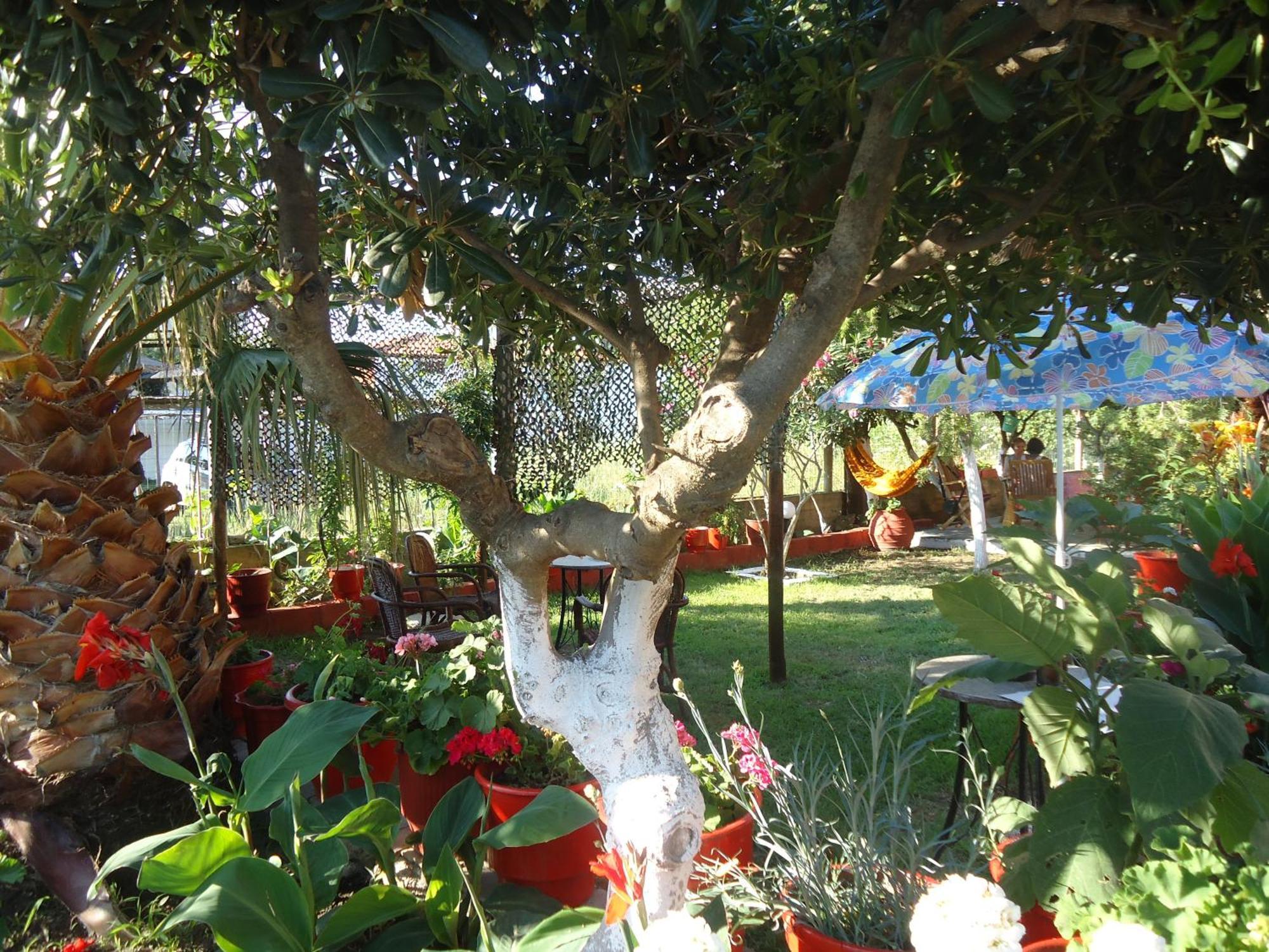 Appartamento House Souzanna Toroni Esterno foto